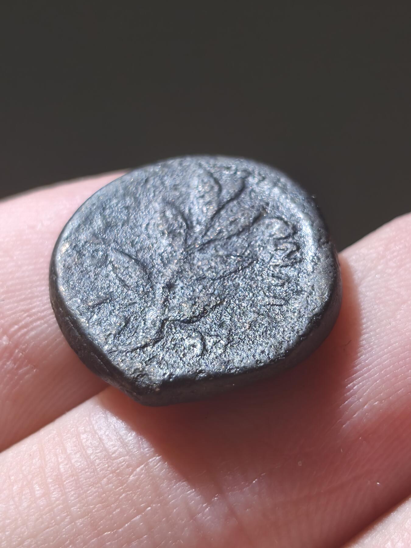 星盘世界钱币2026一月十日新年古典精品大拍 精彩纷呈 稀有！罗马自发行铜币 太阳神阿波罗与棕榈枝叶  塞琉西亚/奥龙特斯河的安条克  公元68- 69年