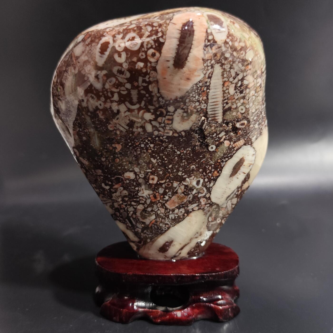 希腊罗马丝路打制币化石【中外钱币放漏】专场！陆小鱼的钱币仓，限时拍卖第080场 化石摆件1441g