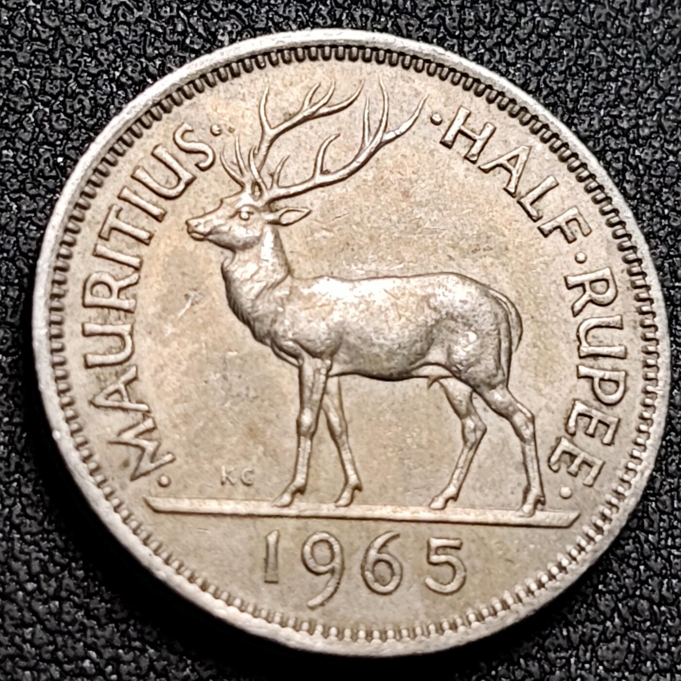 泉币菌-第155场-精品福利场 。