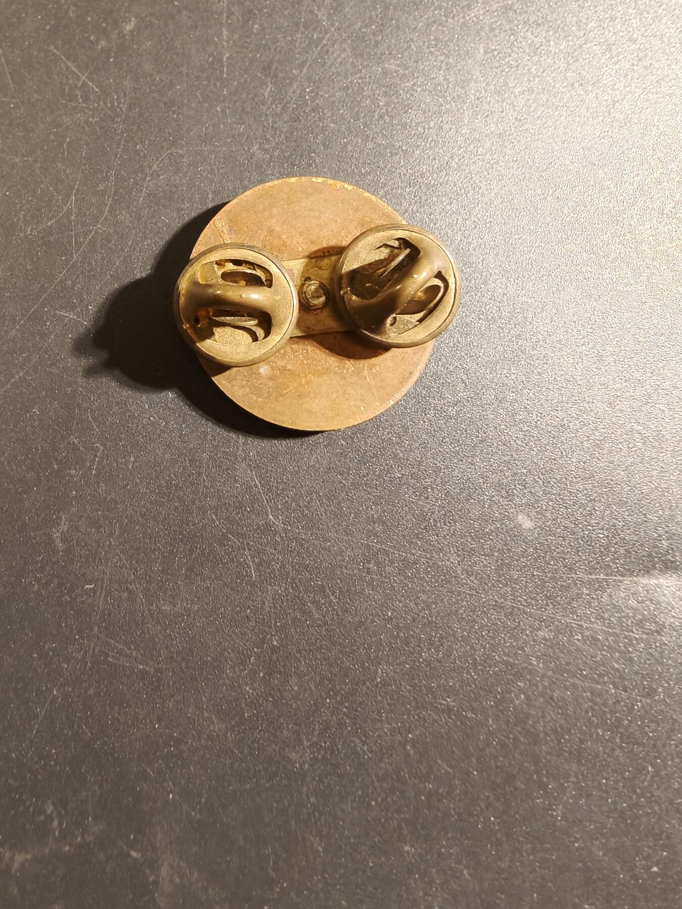 老王徽章第172期 美国预备军官团领章