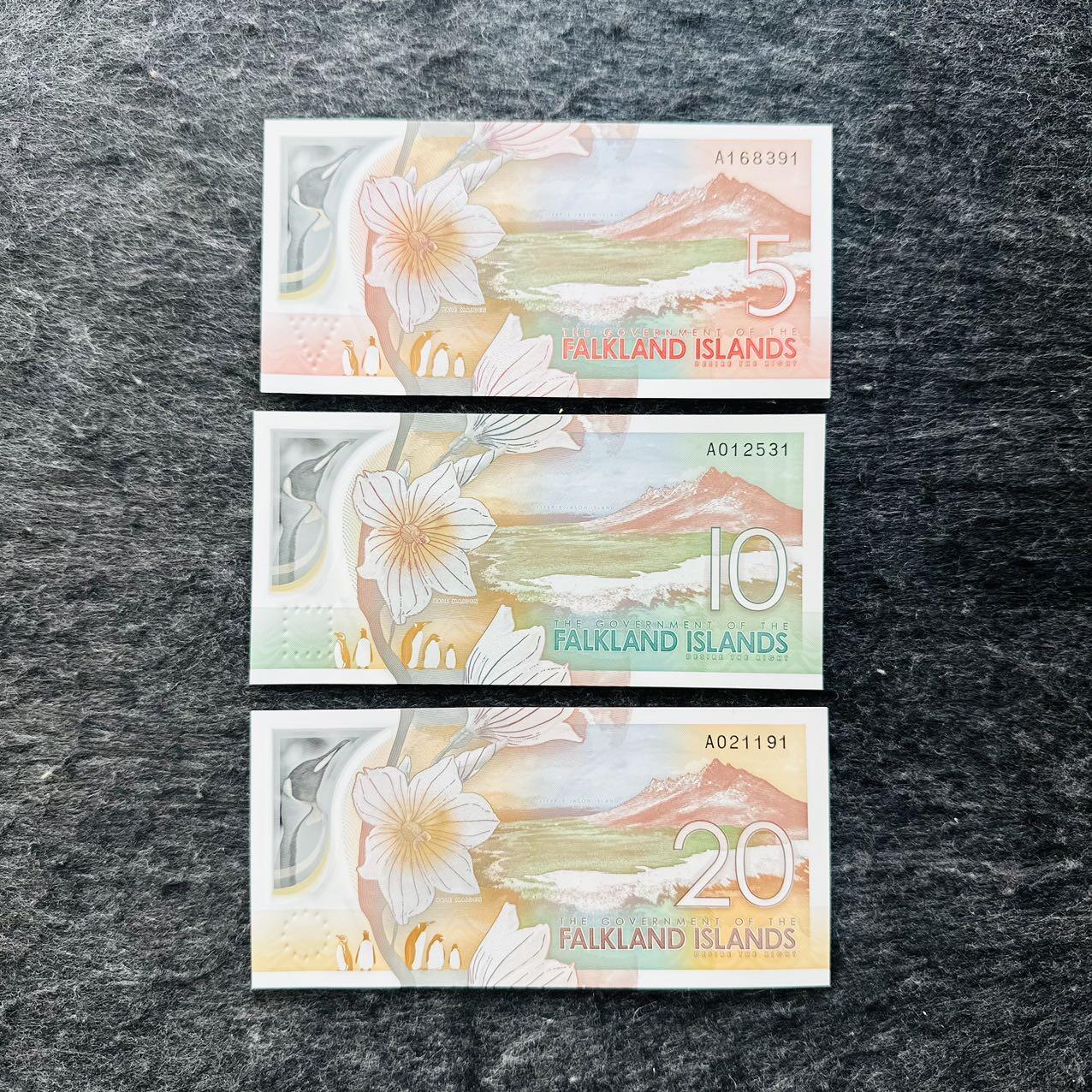 🇫🇯🇫🇰2530￥￥福克兰群岛2025年和斐济2026年全套Polymer塑料钞 391-531-191 尾1