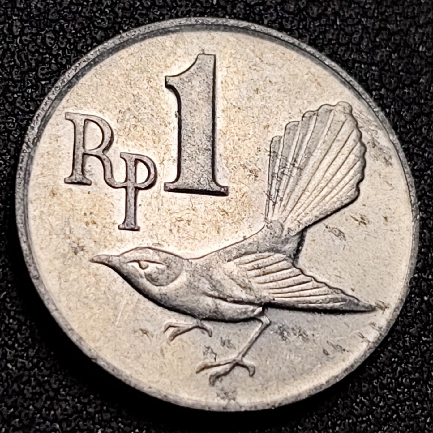 泉币菌-第155场-精品福利场 。