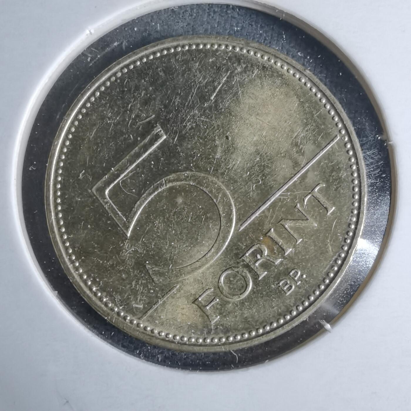 沼泽如烟--第947场