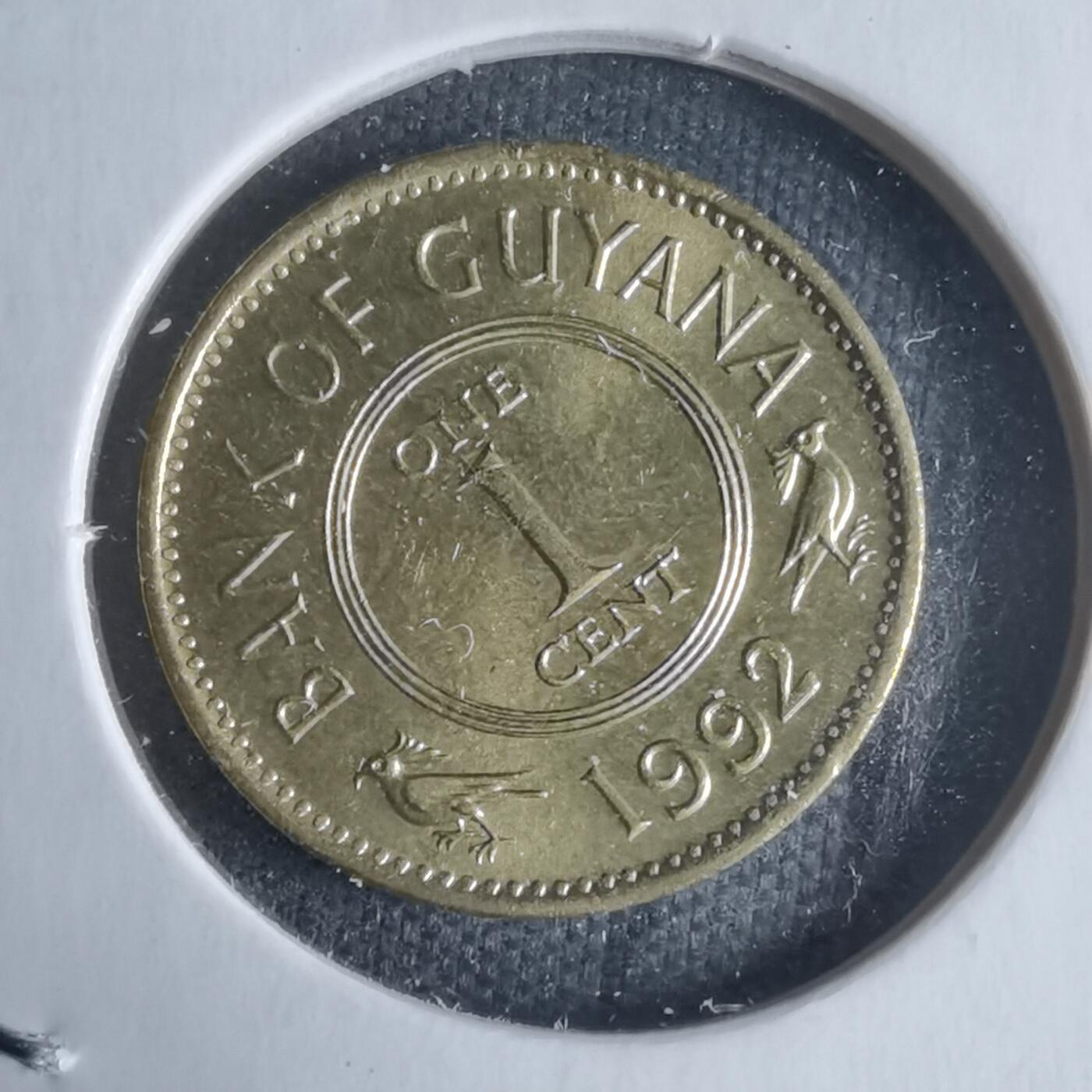 沼泽如烟--第947场