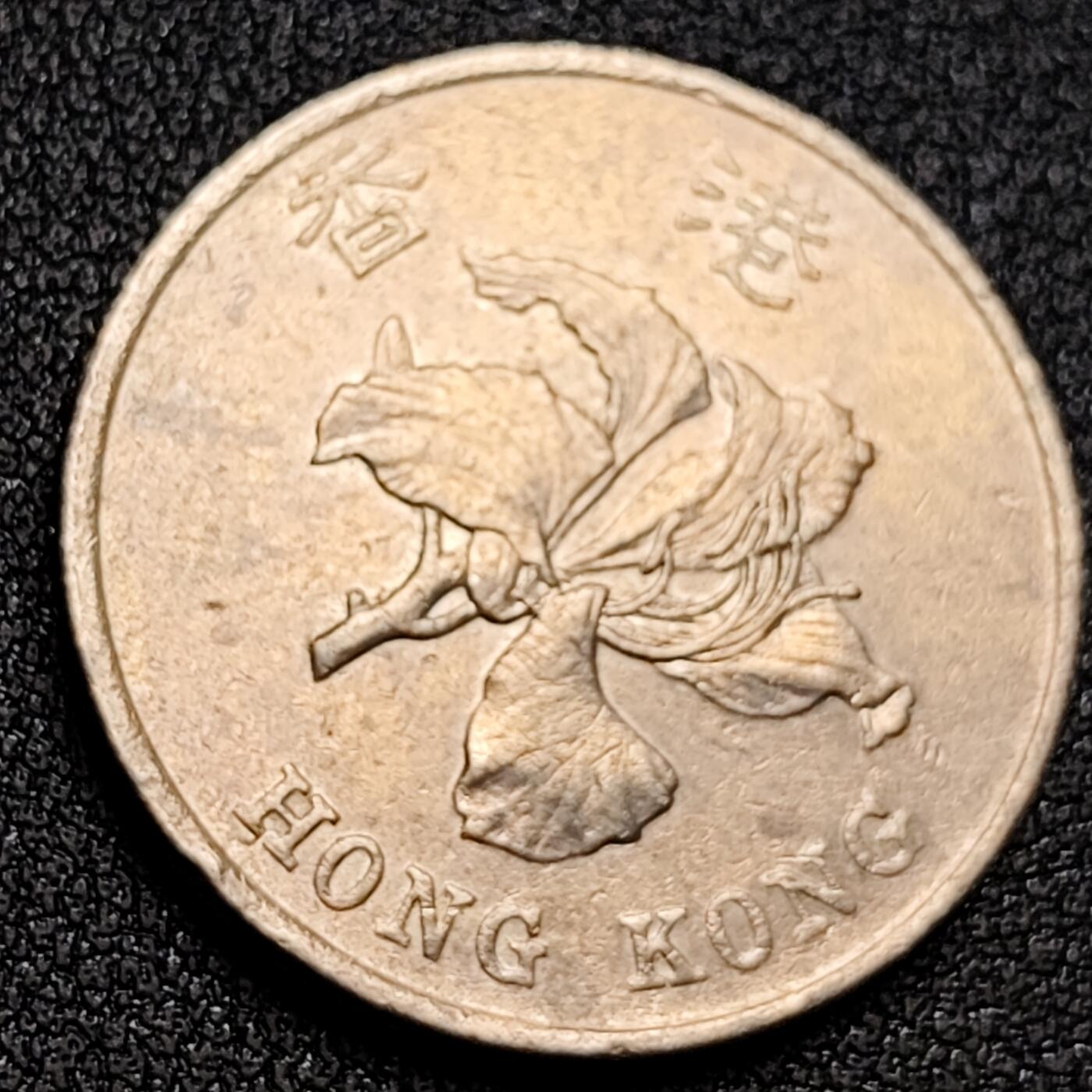 泉币菌-第156场-精品福利场 。