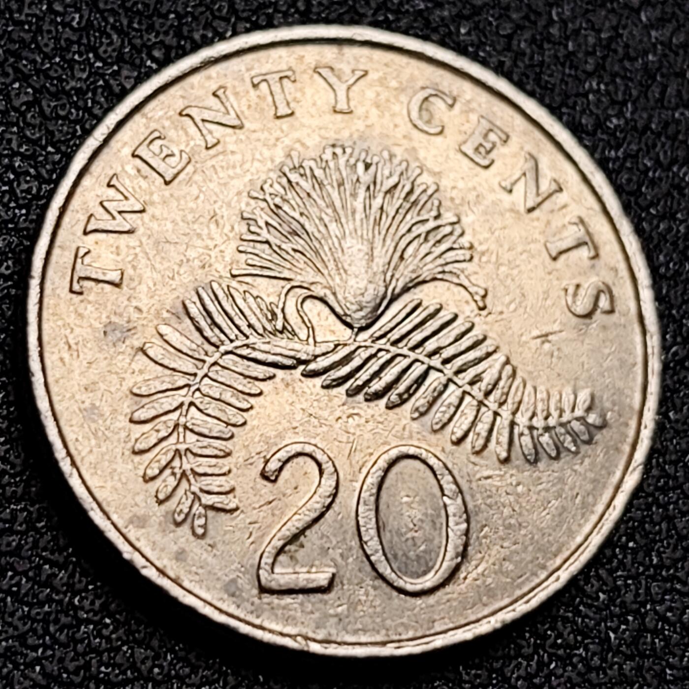 泉币菌-第155场-精品福利场 。