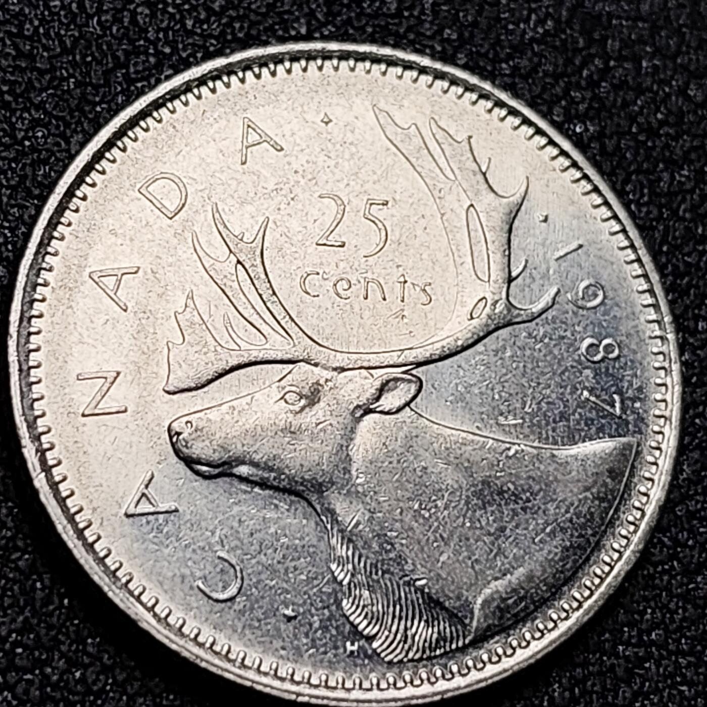 泉币菌-第156场-精品福利场 。