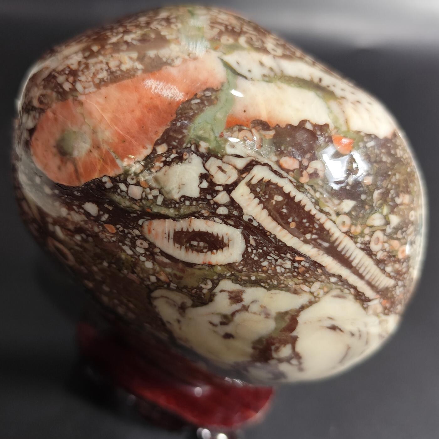 希腊罗马丝路打制币化石【中外钱币放漏】专场！陆小鱼的钱币仓，限时拍卖第080场 化石摆件1441g