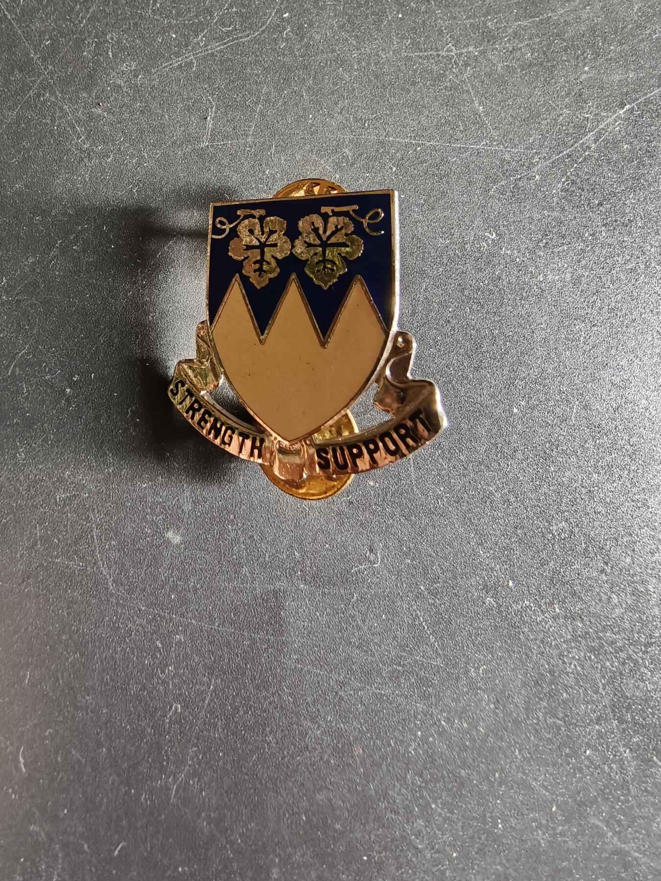 老王徽章第172期 美国陆军第13支援营证章