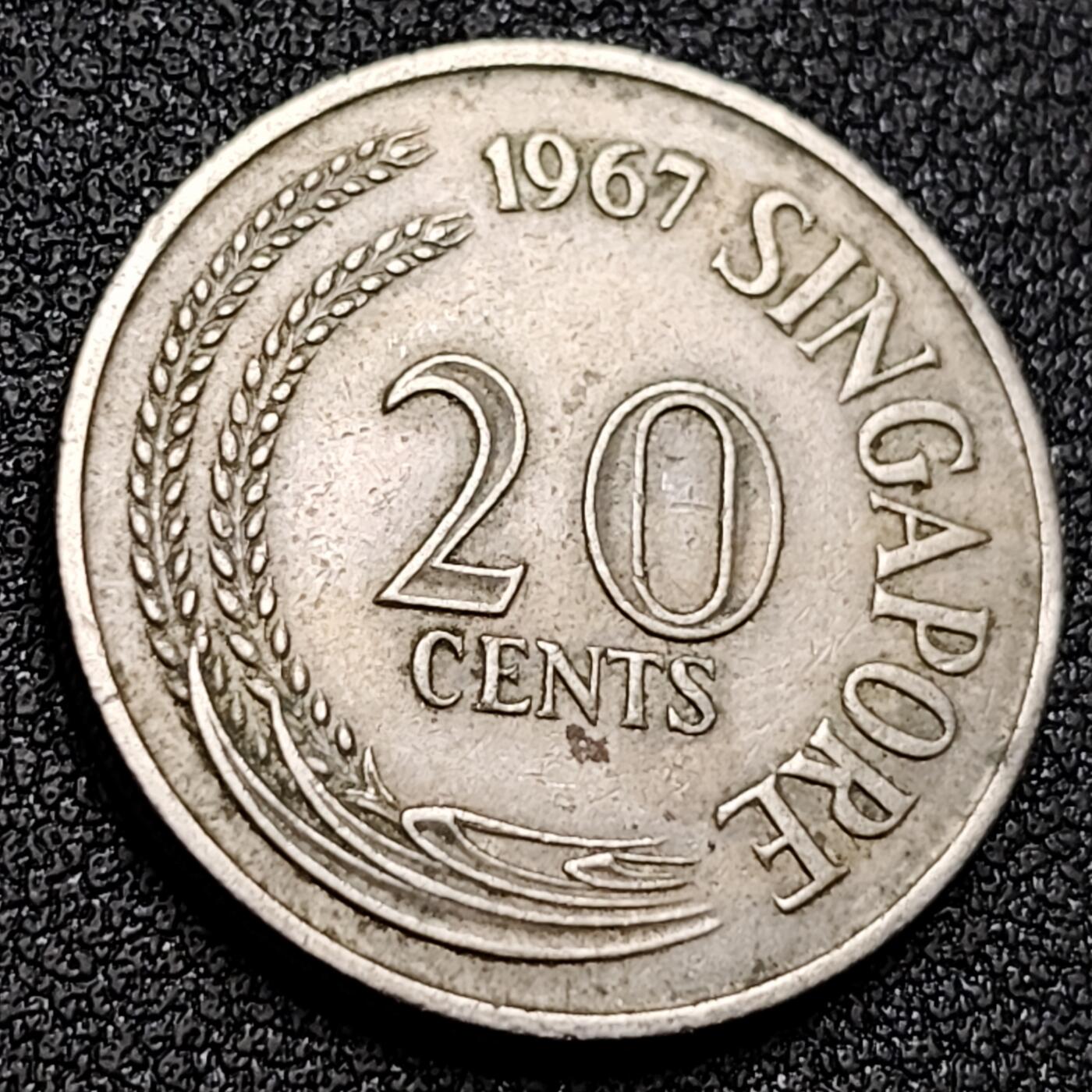 泉币菌-第155场-精品福利场 。