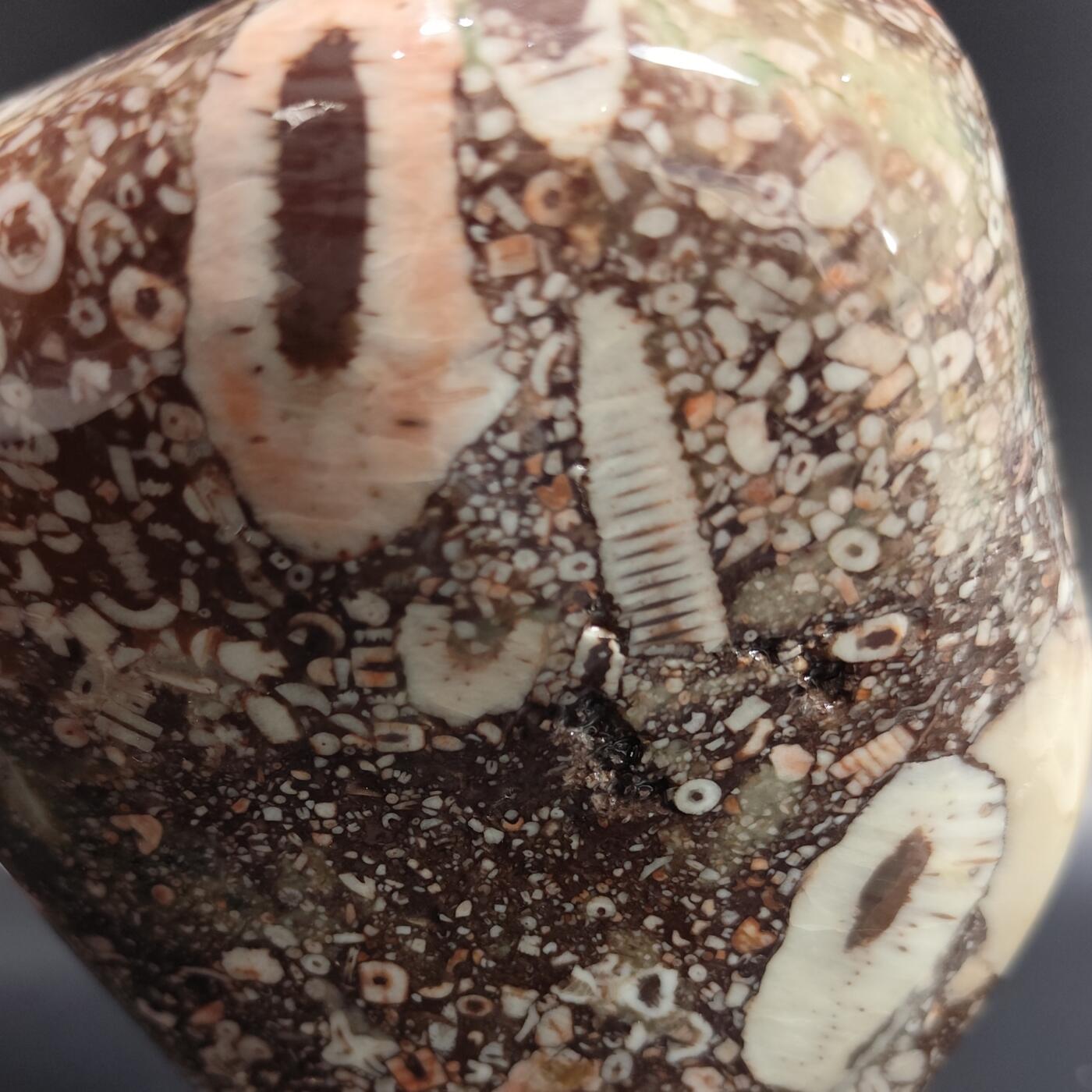 希腊罗马丝路打制币化石【中外钱币放漏】专场！陆小鱼的钱币仓，限时拍卖第080场 化石摆件1441g