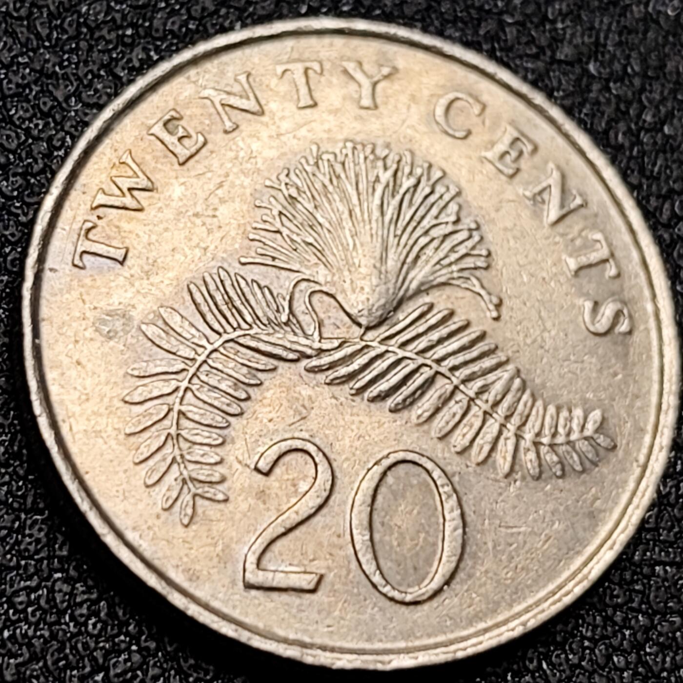 泉币菌-第156场-精品福利场 。