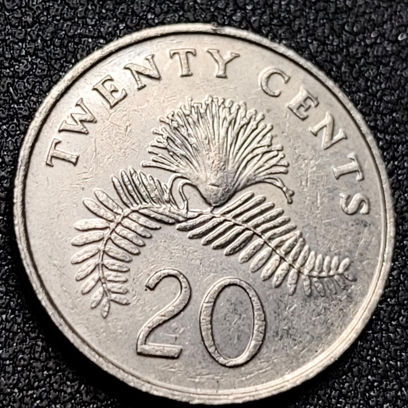 泉币菌-第155场-精品福利场 。