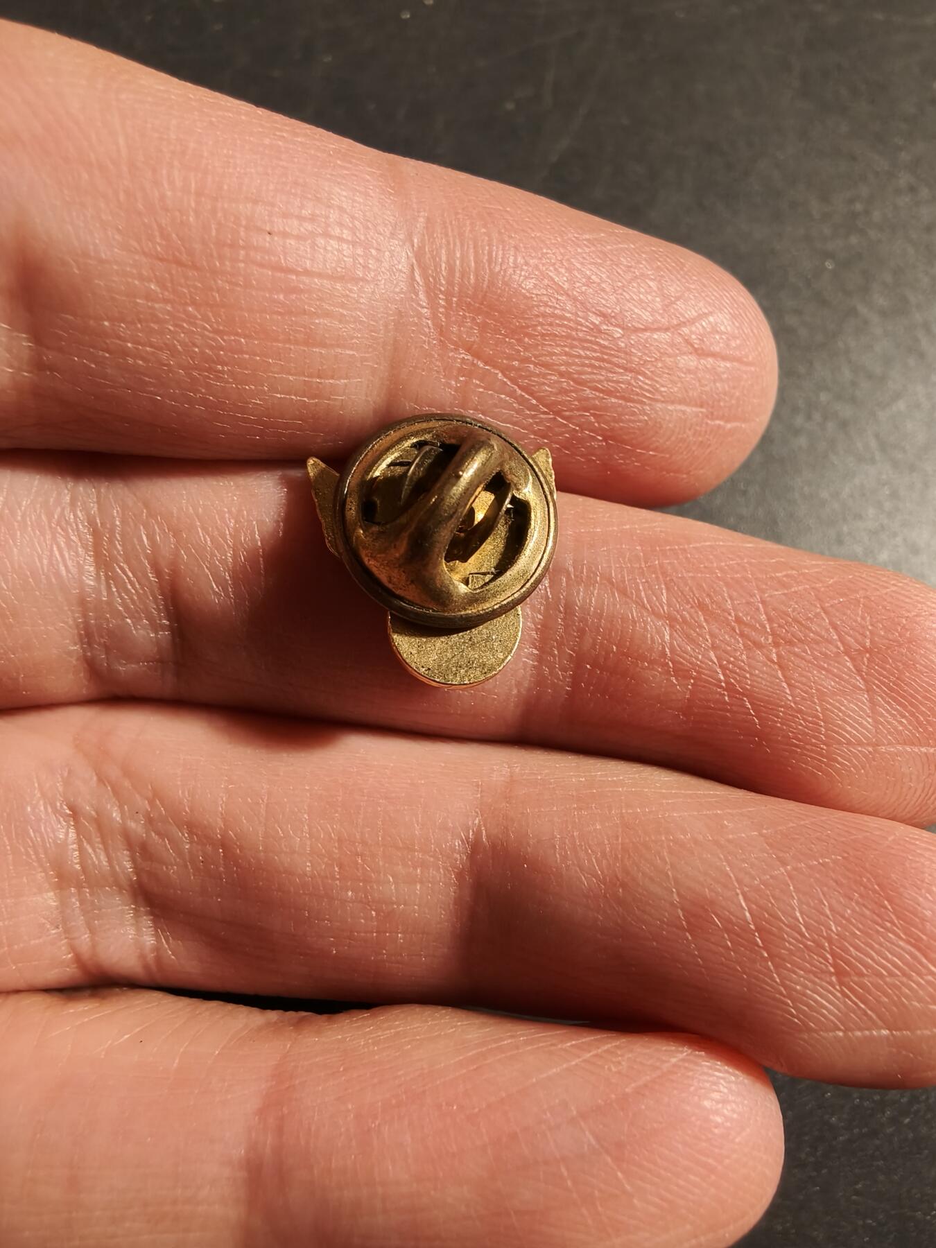 老王徽章第172期 美国空军协会证章    铜质珐琅