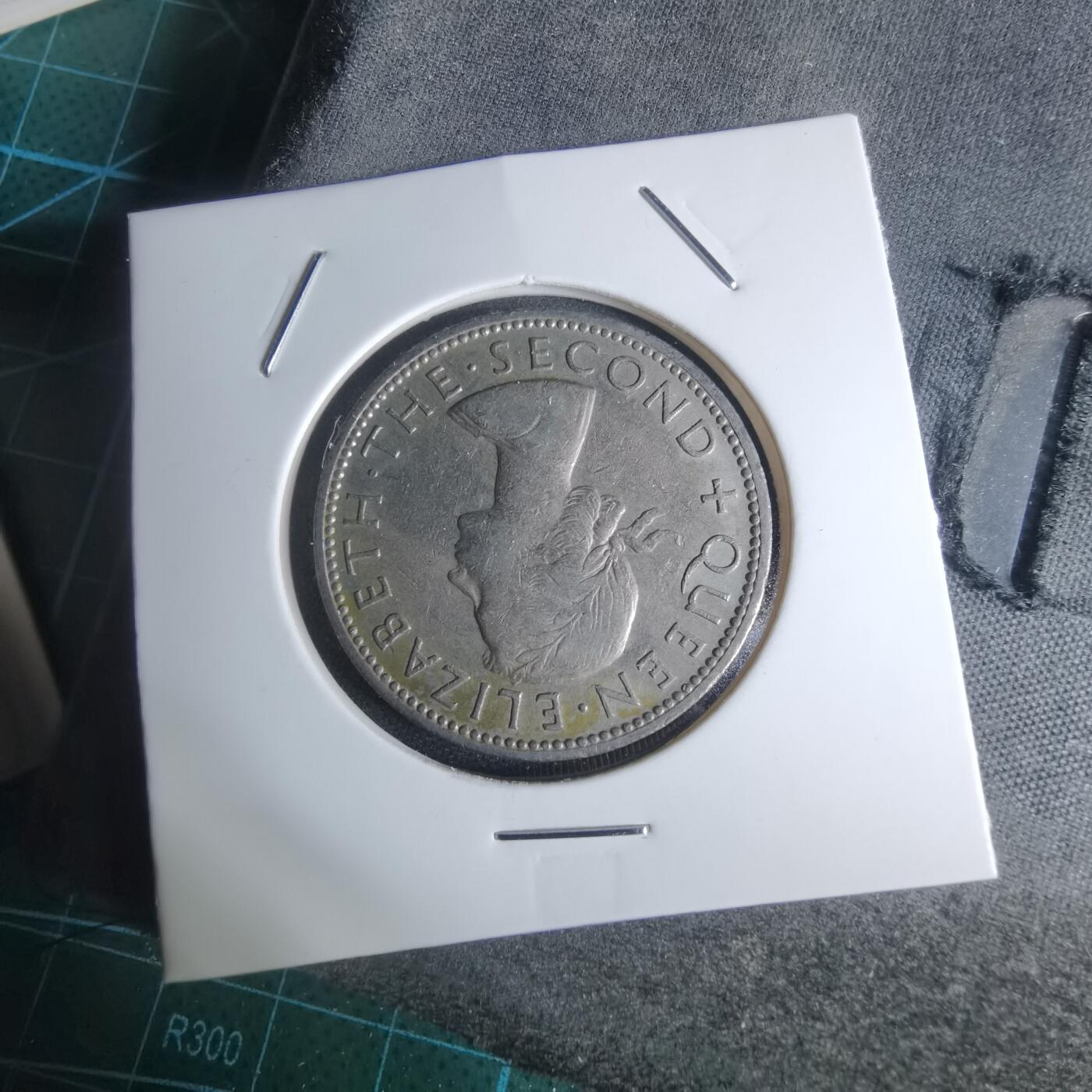 沼泽如烟--第947场