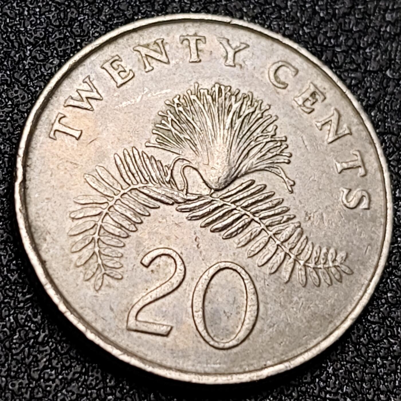 泉币菌-第156场-精品福利场 。