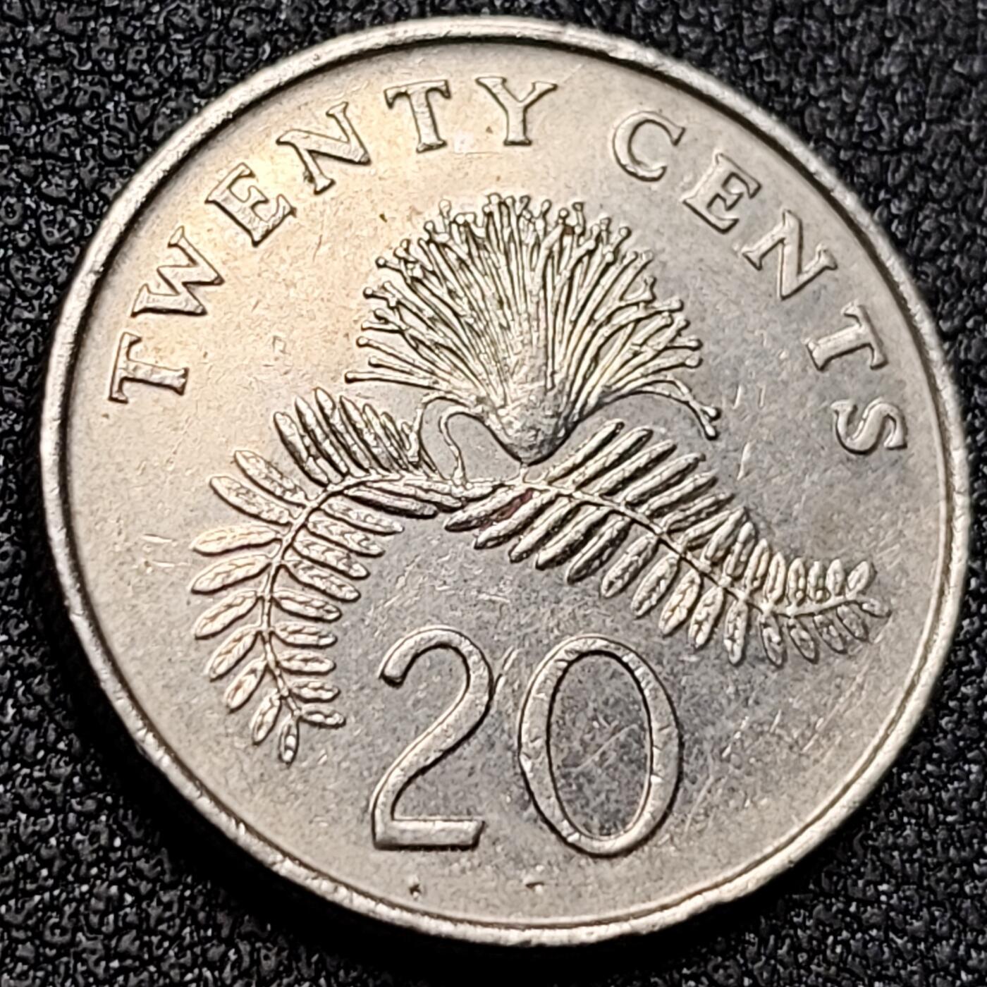 泉币菌-第155场-精品福利场 。