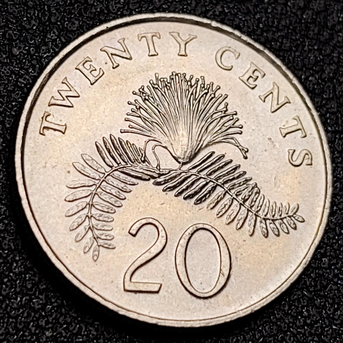 泉币菌-第156场-精品福利场 。