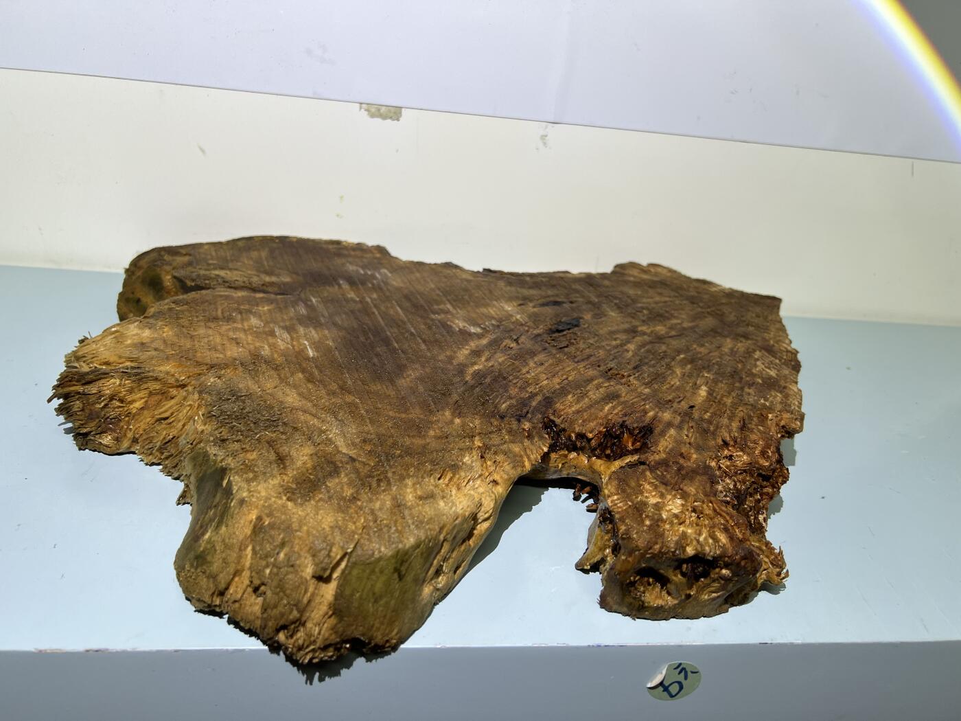 零元拍：香杉木老根榴干泡茶盘 毛坯，未打磨抛光，尺寸约：420/300/厚35MM，满花，药香满鼻，因为没有上漆，干燥天气可能会产生裂纹，属于正常现象