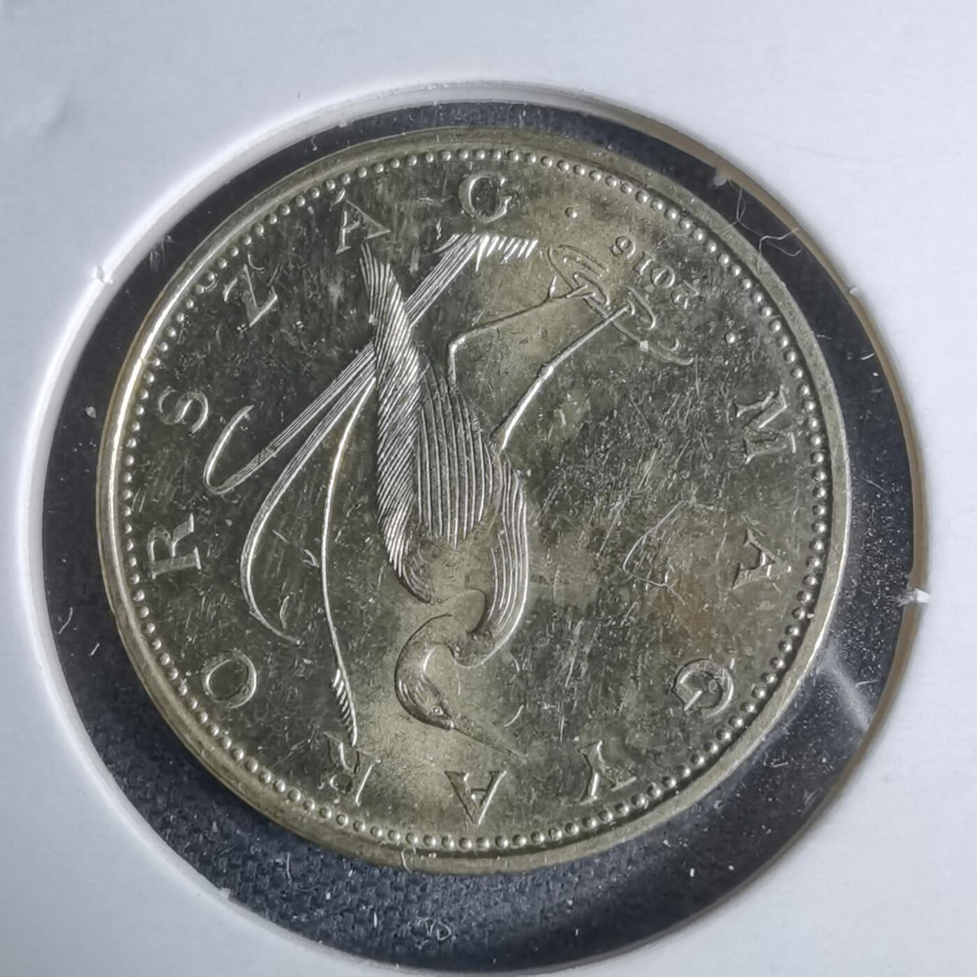 沼泽如烟--第947场