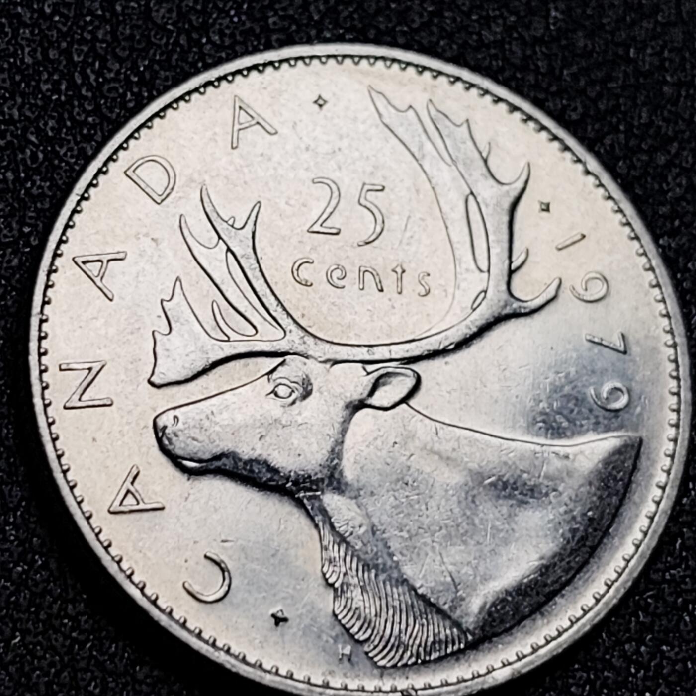 泉币菌-第156场-精品福利场 。