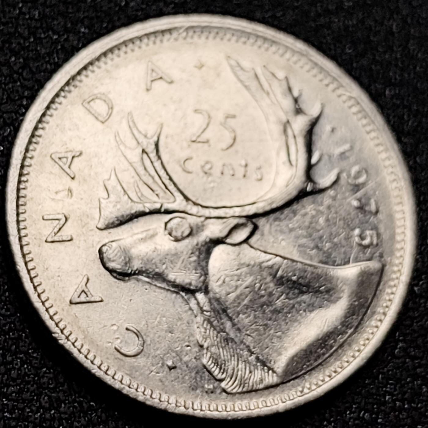 泉币菌-第155场-精品福利场 。