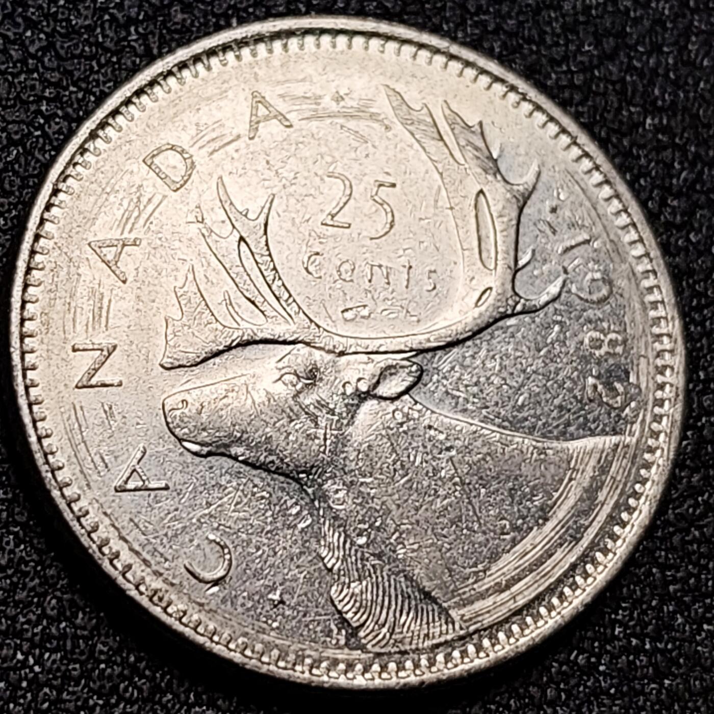 泉币菌-第155场-精品福利场 。