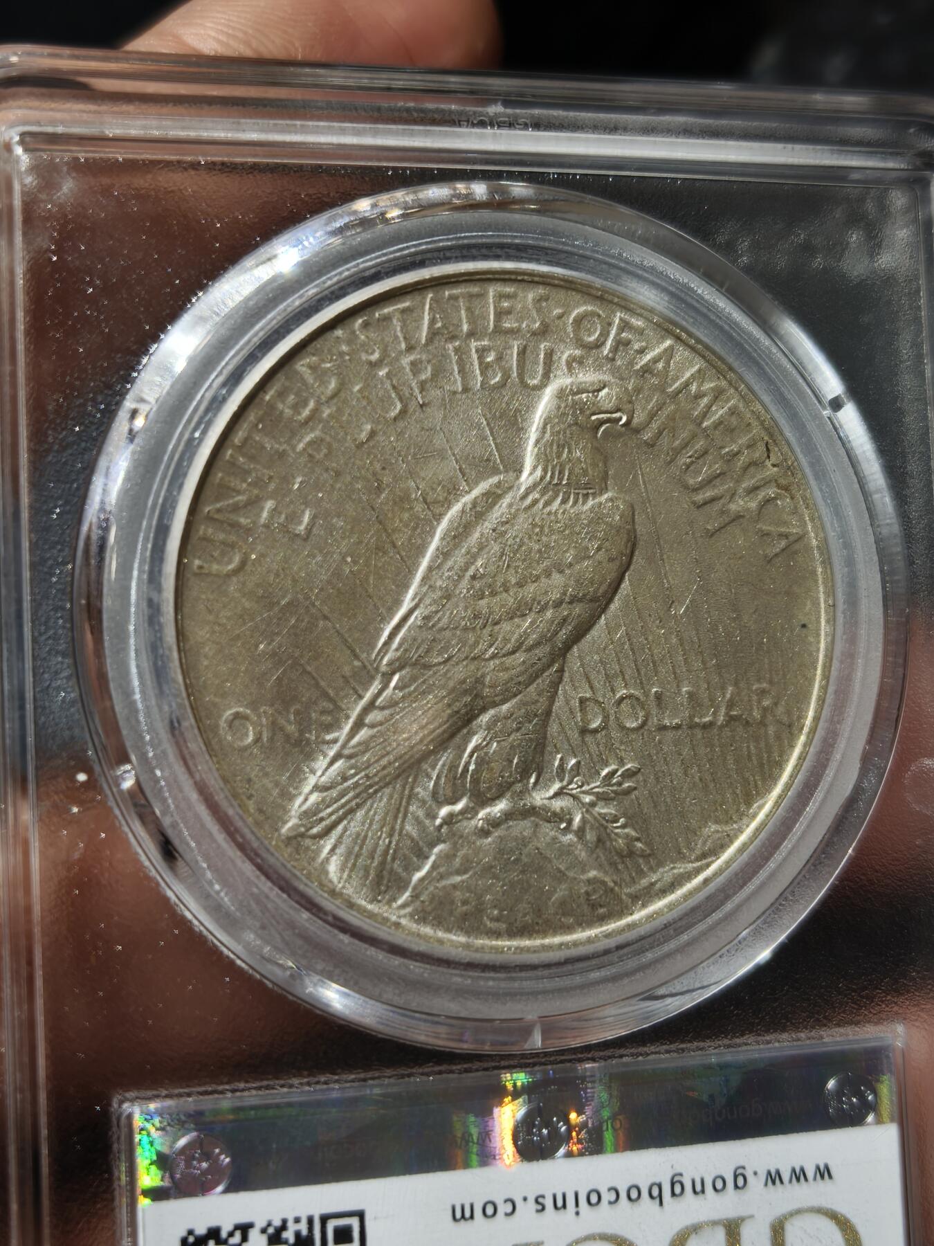 老银币专场（本场三位宝主提供） 美国和平鸽银币，公博评级64分