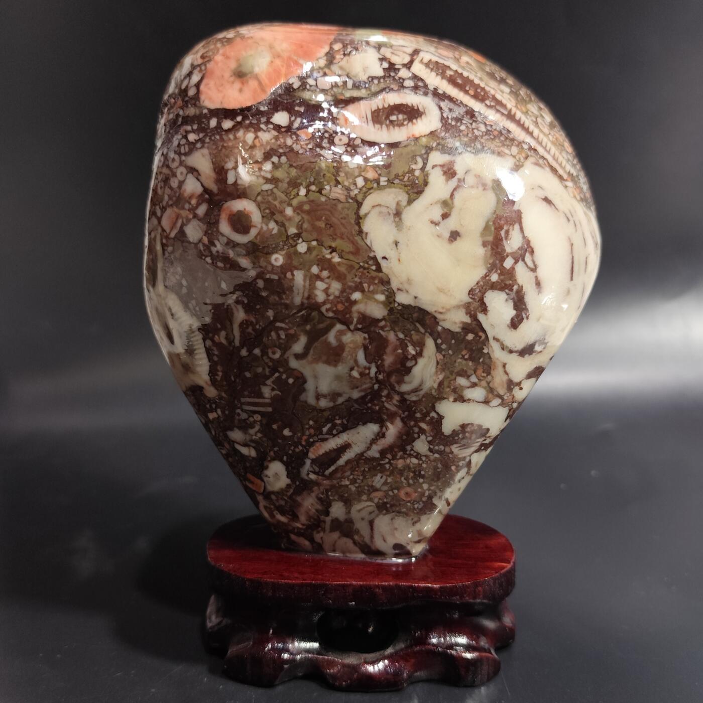 希腊罗马丝路打制币化石【中外钱币放漏】专场！陆小鱼的钱币仓，限时拍卖第080场 化石摆件1441g