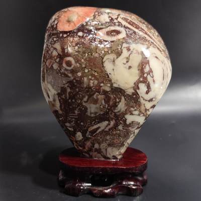 希腊罗马丝路打制币化石【中外钱币放漏】专场！陆小鱼的钱币仓，限时拍卖第080场 - 精工海百合/海绵/珊瑚等海洋生物化石摆件 4.5亿年前奥陶纪时期 1441g（配底座）