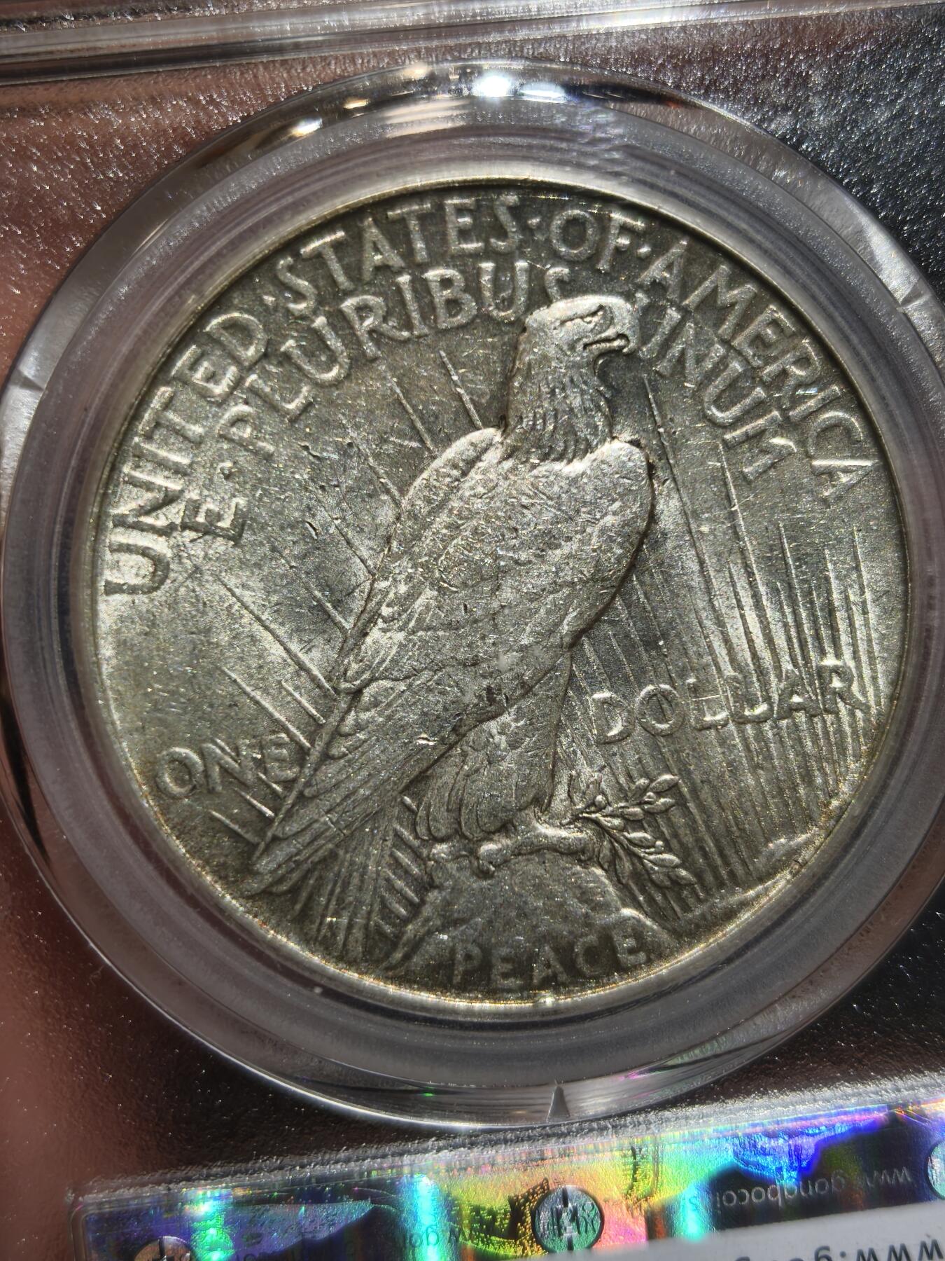 老银币专场（本场三位宝主提供） 美国和平鸽银币，公博评级64分