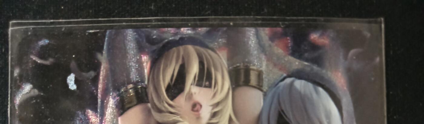 花开卡拍第53期（12月28号周日截拍，品控勿拍!!!拍品不寄存，运费5元，自制卡难免瑕疵，可能存在轻微撞角爆边等出厂瑕疵，品控介意勿拍！） 2B小姐姐粗闪