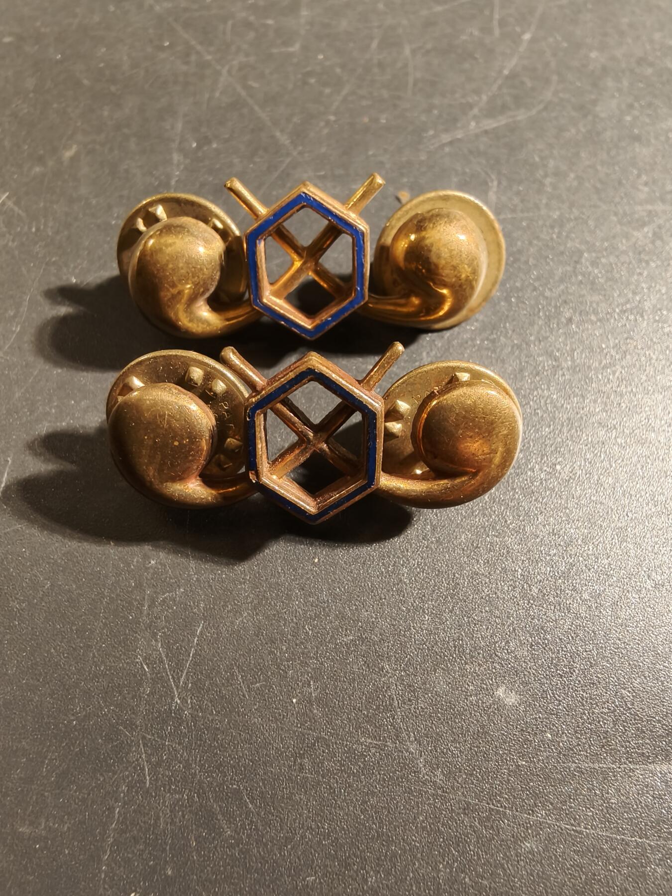 老王徽章第172期 美国陆军化学兵军官领章一组