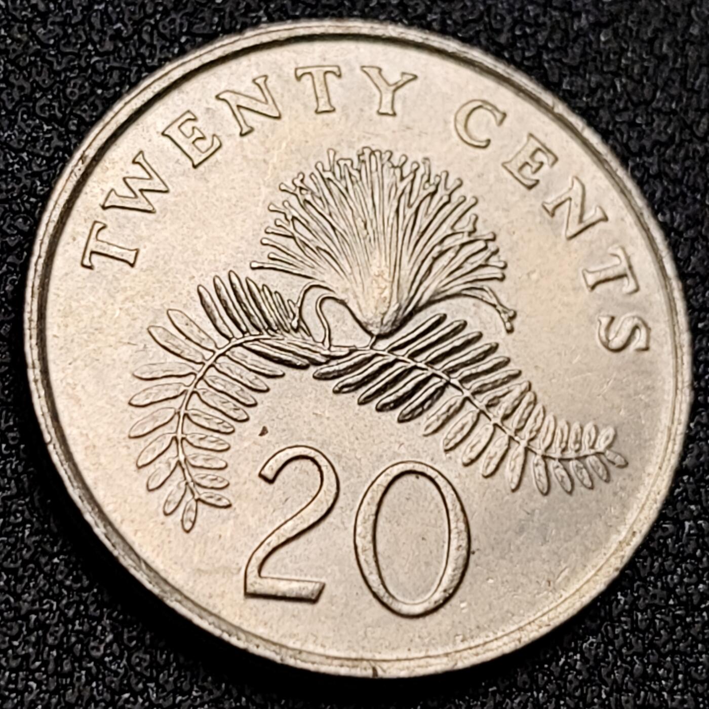 泉币菌-第156场-精品福利场 。