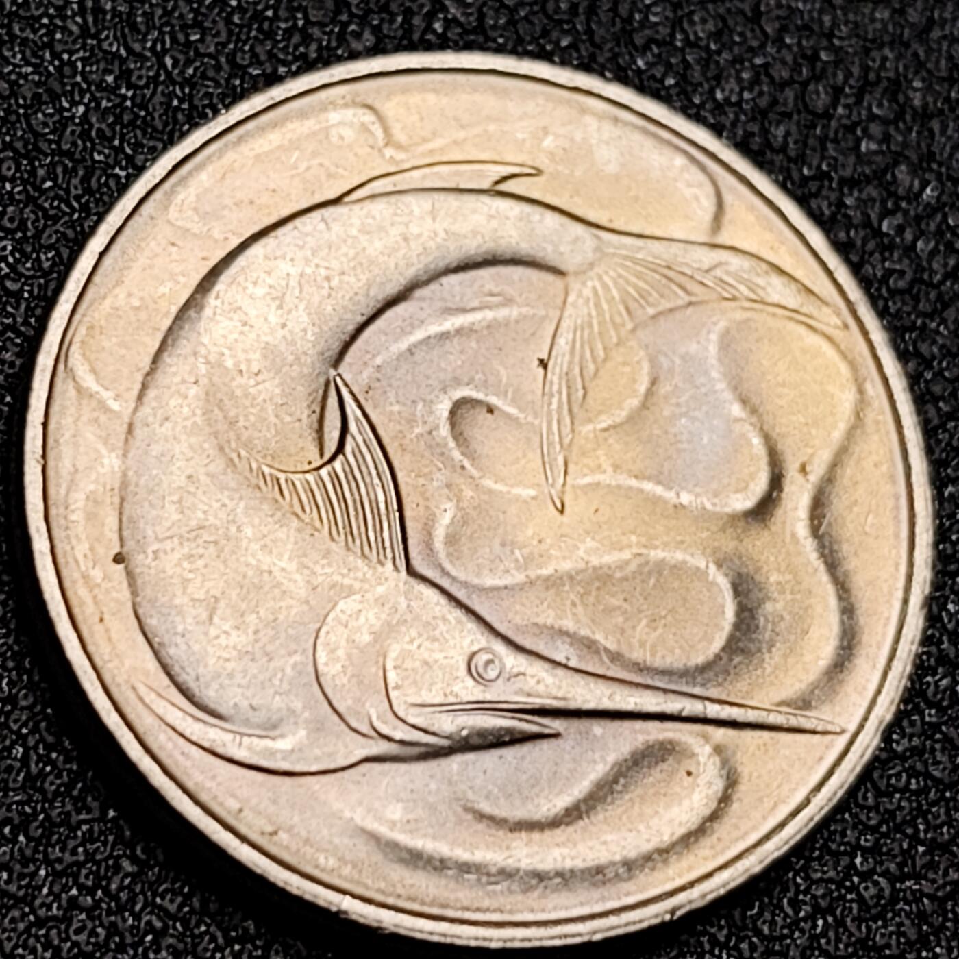 泉币菌-第156场-精品福利场 。