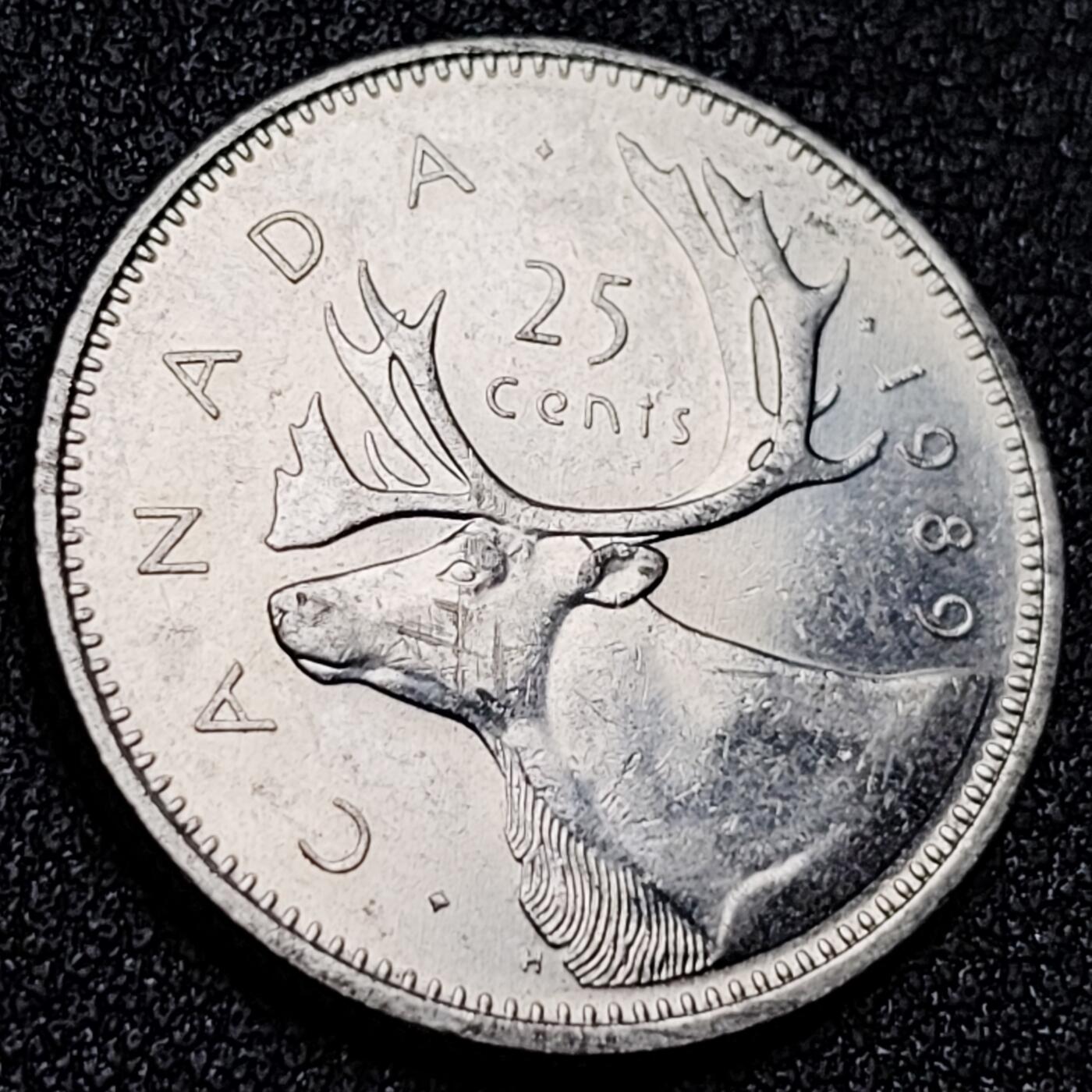 泉币菌-第156场-精品福利场 。