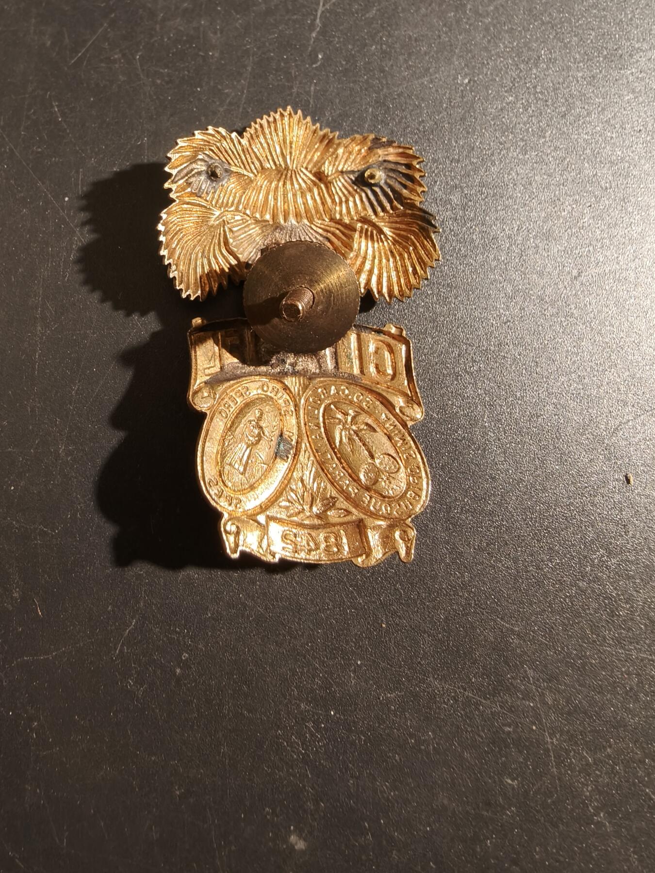 老王徽章第172期 美国南卡罗来纳州军事学校大檐帽帽徽