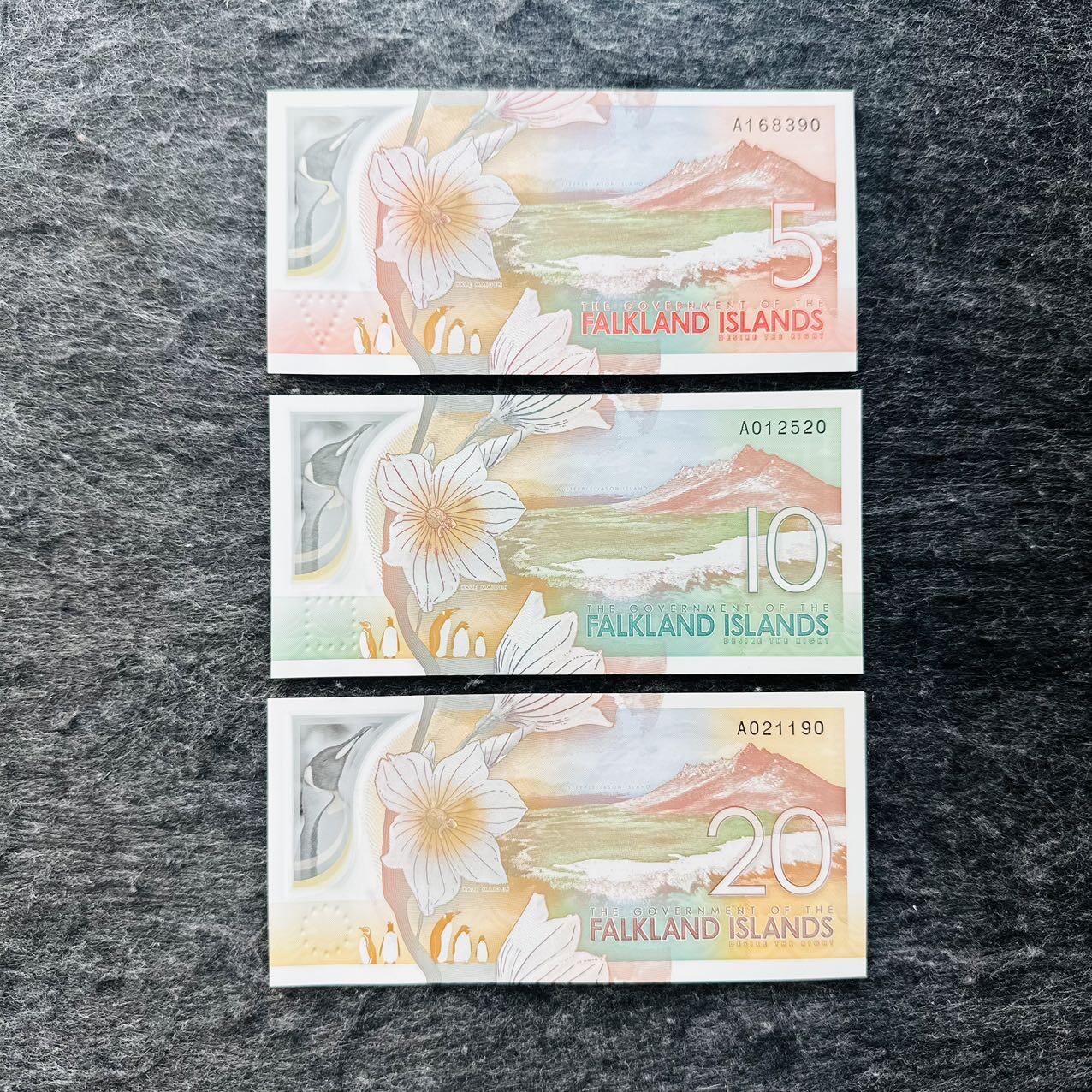 🇫🇯🇫🇰2530￥￥福克兰群岛2025年和斐济2026年全套Polymer塑料钞 390-520-190 尾0