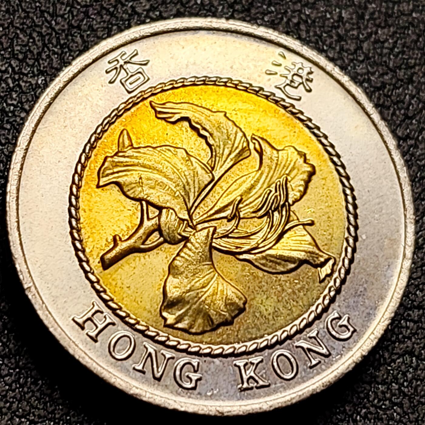 泉币菌-第156场-精品福利场 。