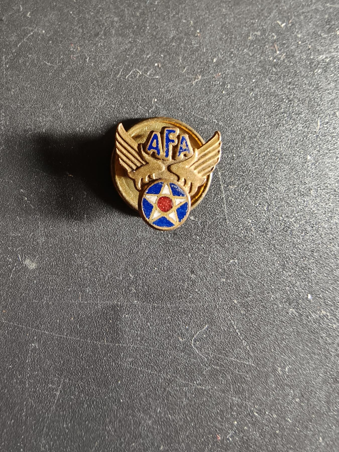 老王徽章第172期 美国空军协会证章    铜质珐琅