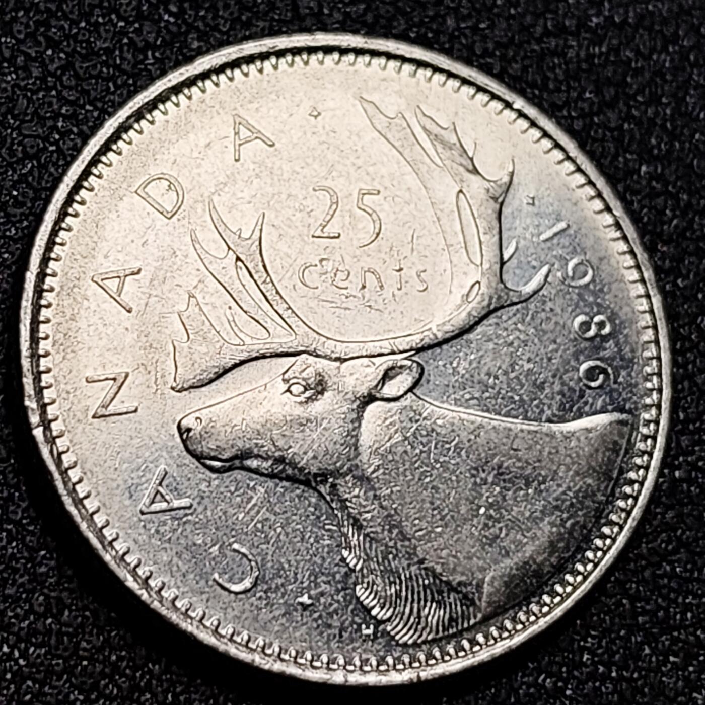 泉币菌-第155场-精品福利场 。