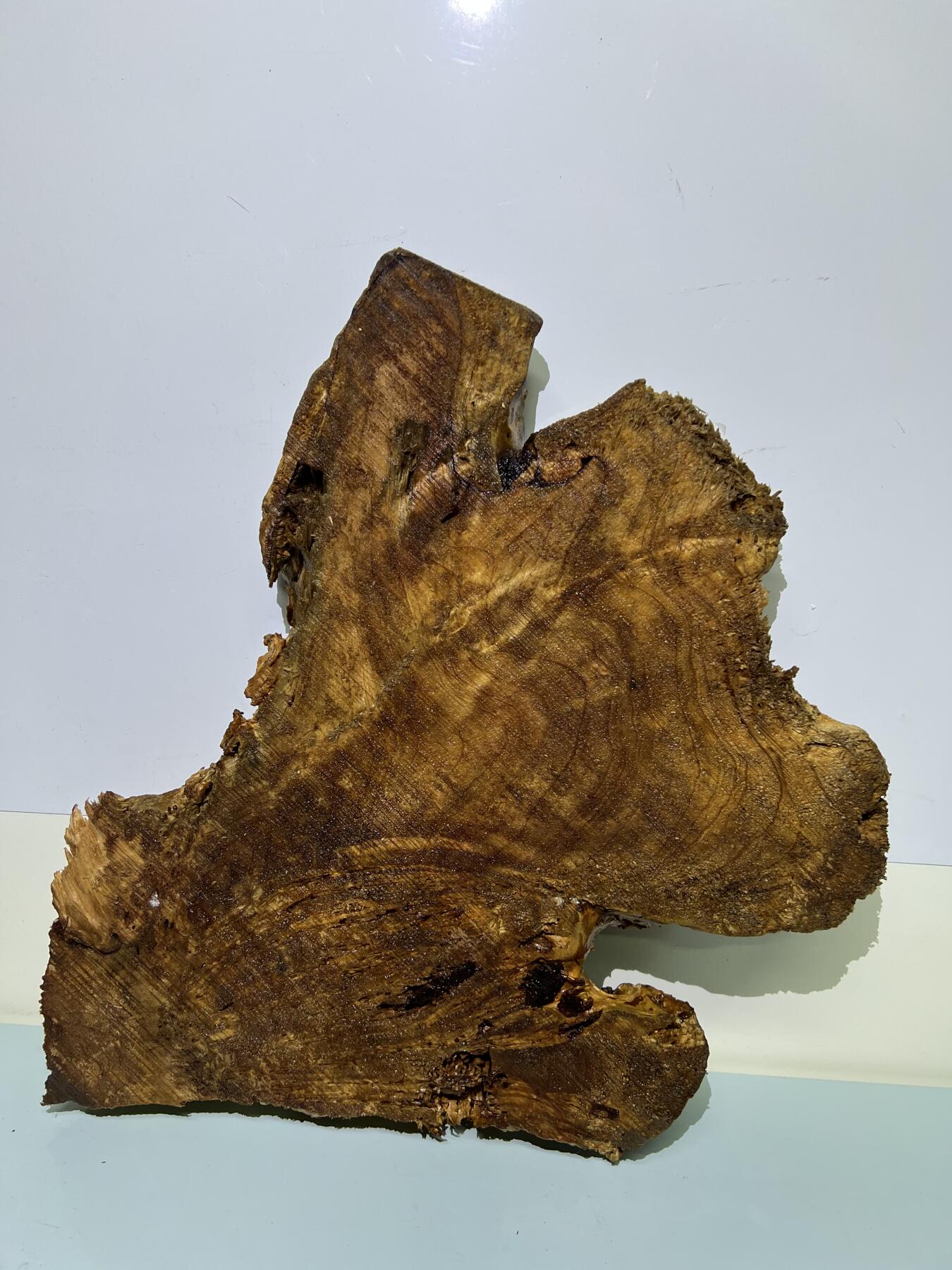 零元拍：香杉木老根榴干泡茶盘 毛坯，未打磨抛光，尺寸约：420/300/厚35MM，满花，药香满鼻，因为没有上漆，干燥天气可能会产生裂纹，属于正常现象