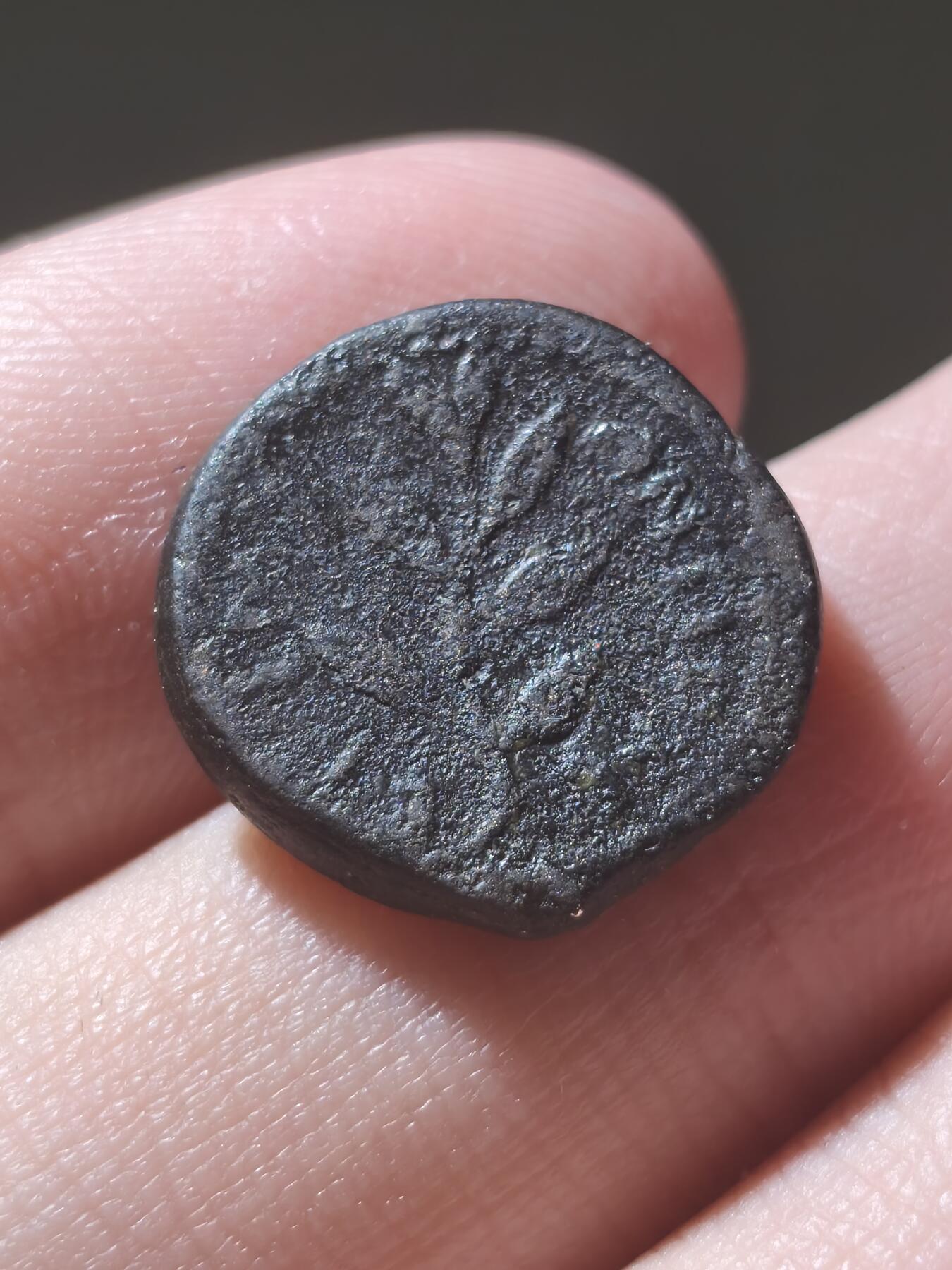 星盘世界钱币2026一月十日新年古典精品大拍 精彩纷呈 稀有！罗马自发行铜币 太阳神阿波罗与棕榈枝叶  塞琉西亚/奥龙特斯河的安条克  公元68- 69年