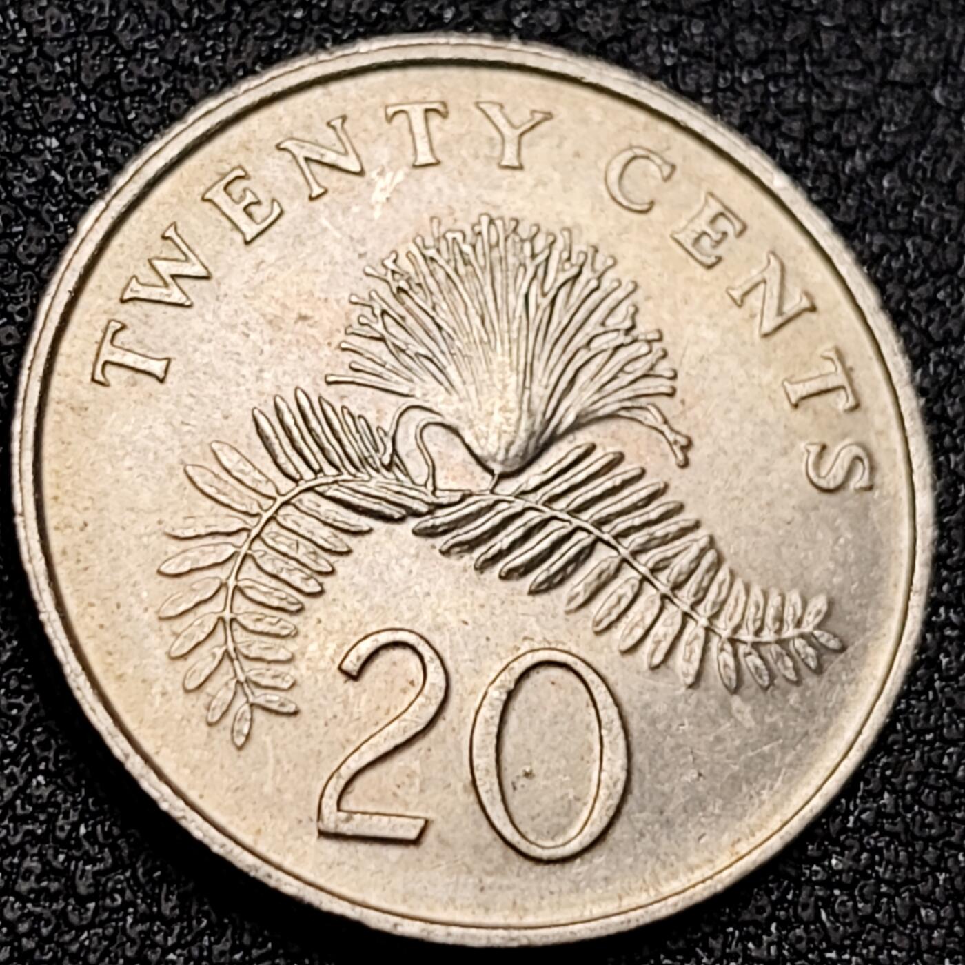 泉币菌-第156场-精品福利场 。