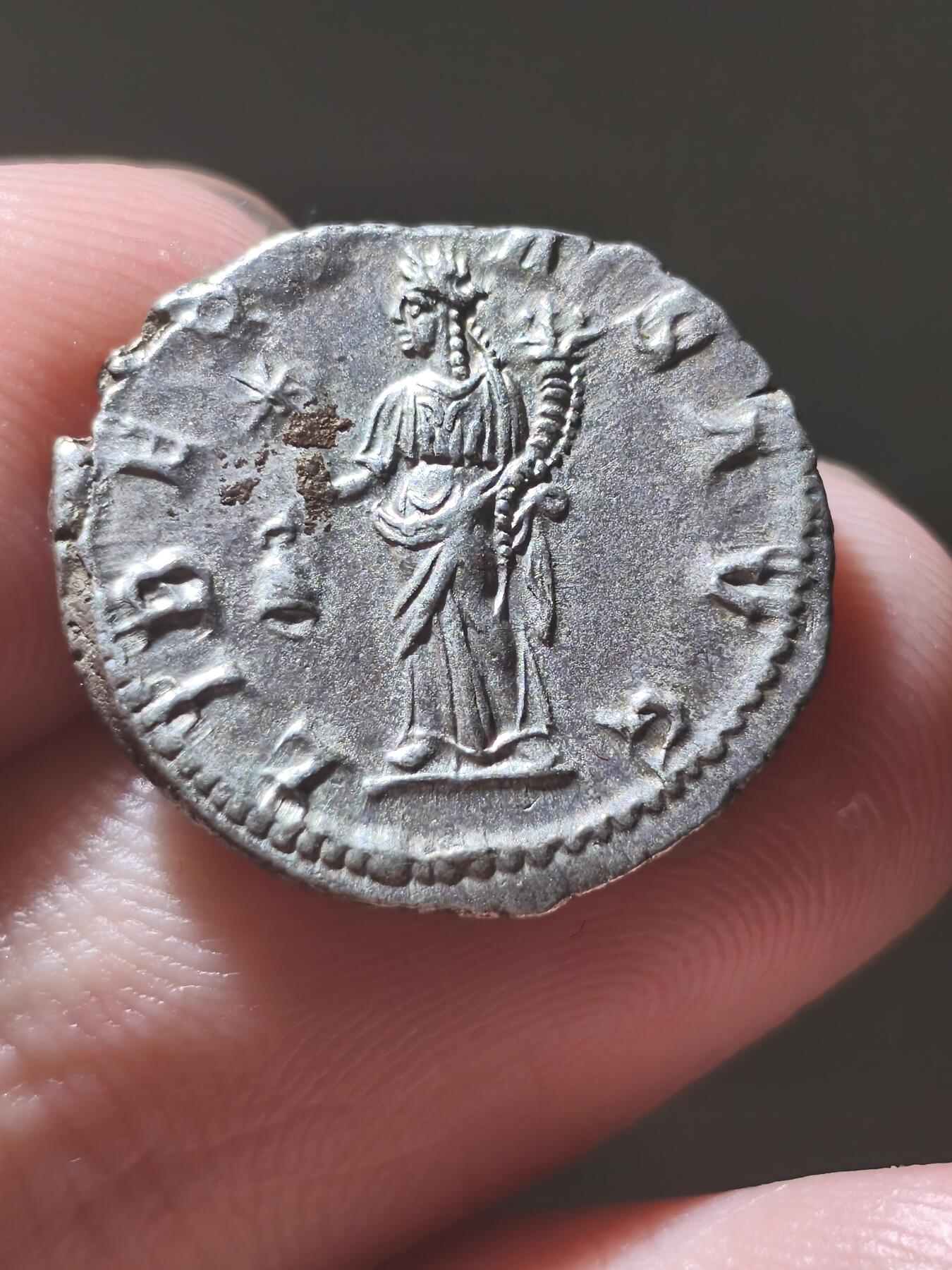 星盘世界钱币2026一月十日新年古典精品大拍 精彩纷呈 精品！古罗马 埃拉加巴路斯第纳尔银币 ，非常漂亮的品种，而且这一枚正面深的啊，胡须齐全，铭文，较为清晰，背面连女神的脸都能看得非常清楚十分难得。对于这种三世纪时期的钱币来讲，这个已经极其少见了