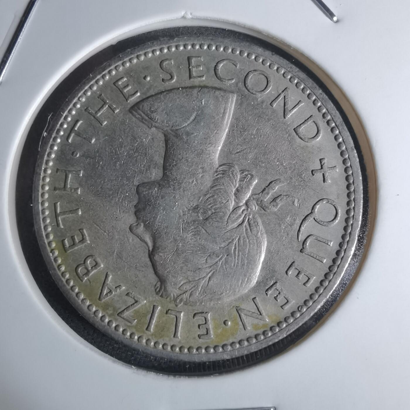 沼泽如烟--第947场