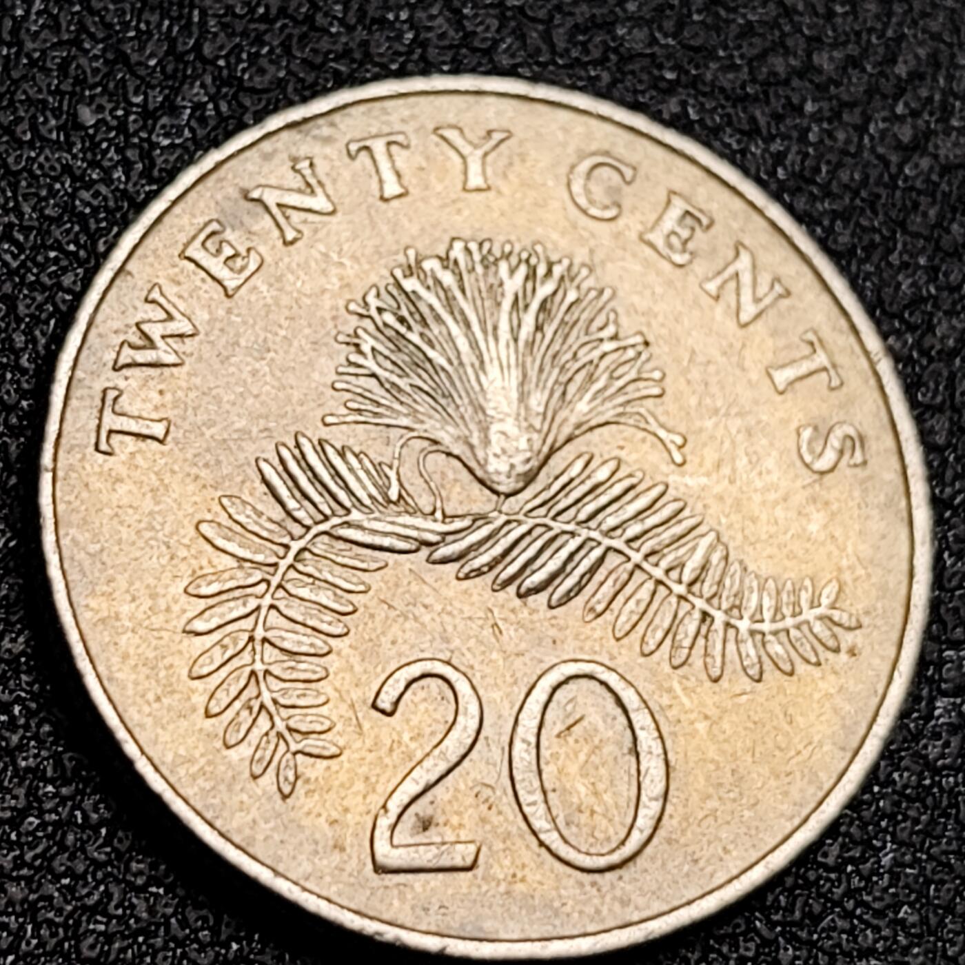 泉币菌-第156场-精品福利场 。