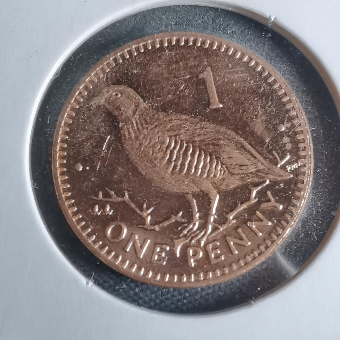 沼泽如烟--第947场