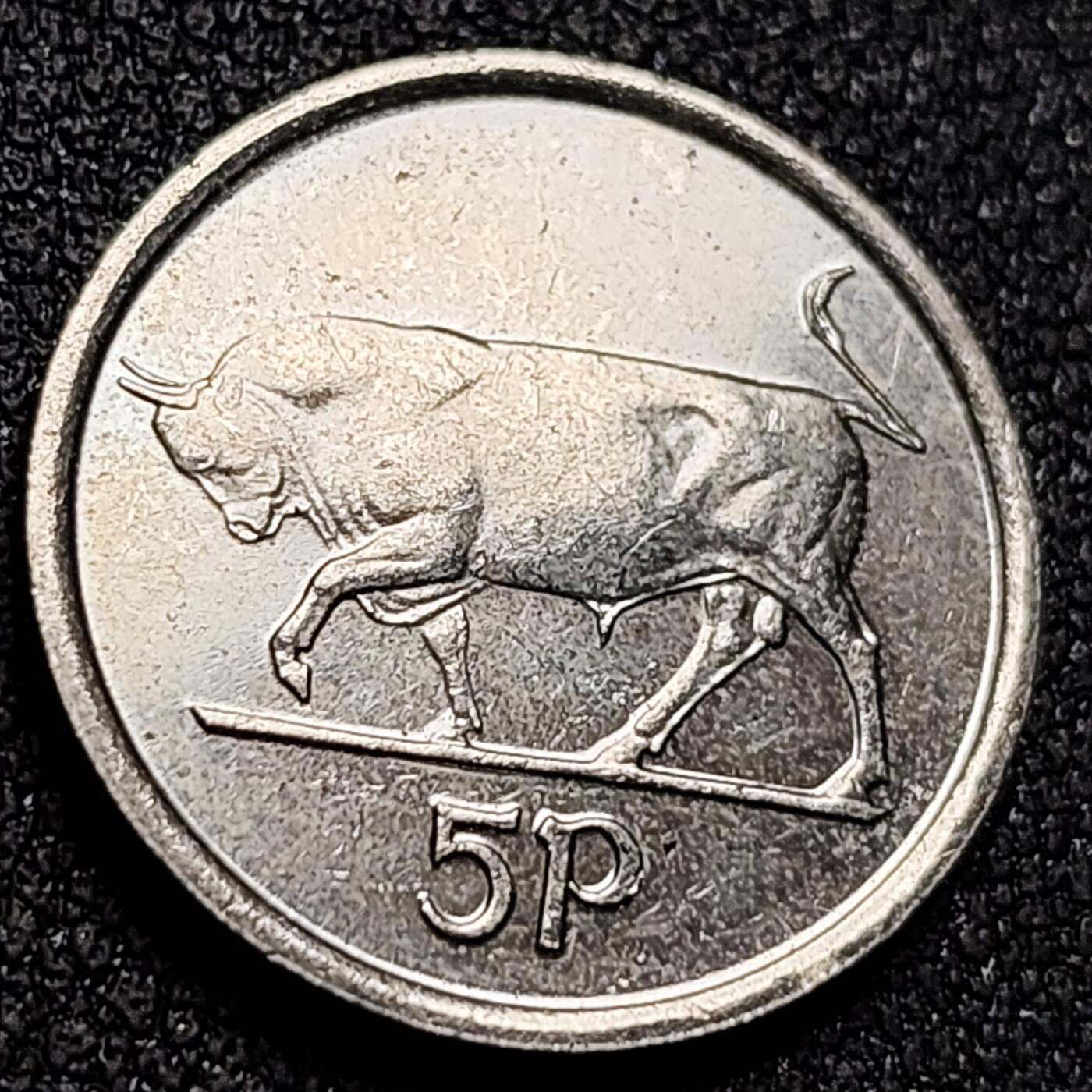 泉币菌-第155场-精品福利场 。