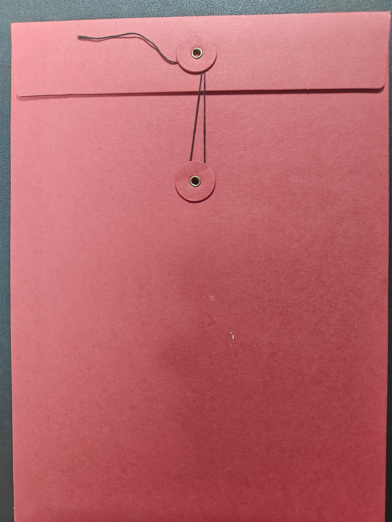 天玑星卡拍第155期《12.29年终场周一截拍》持续收拍收评中 满赠卡需备注 【签绘档案袋】田宇 十二生肖 机甲美人 A4签绘档案袋 瑕疵如图